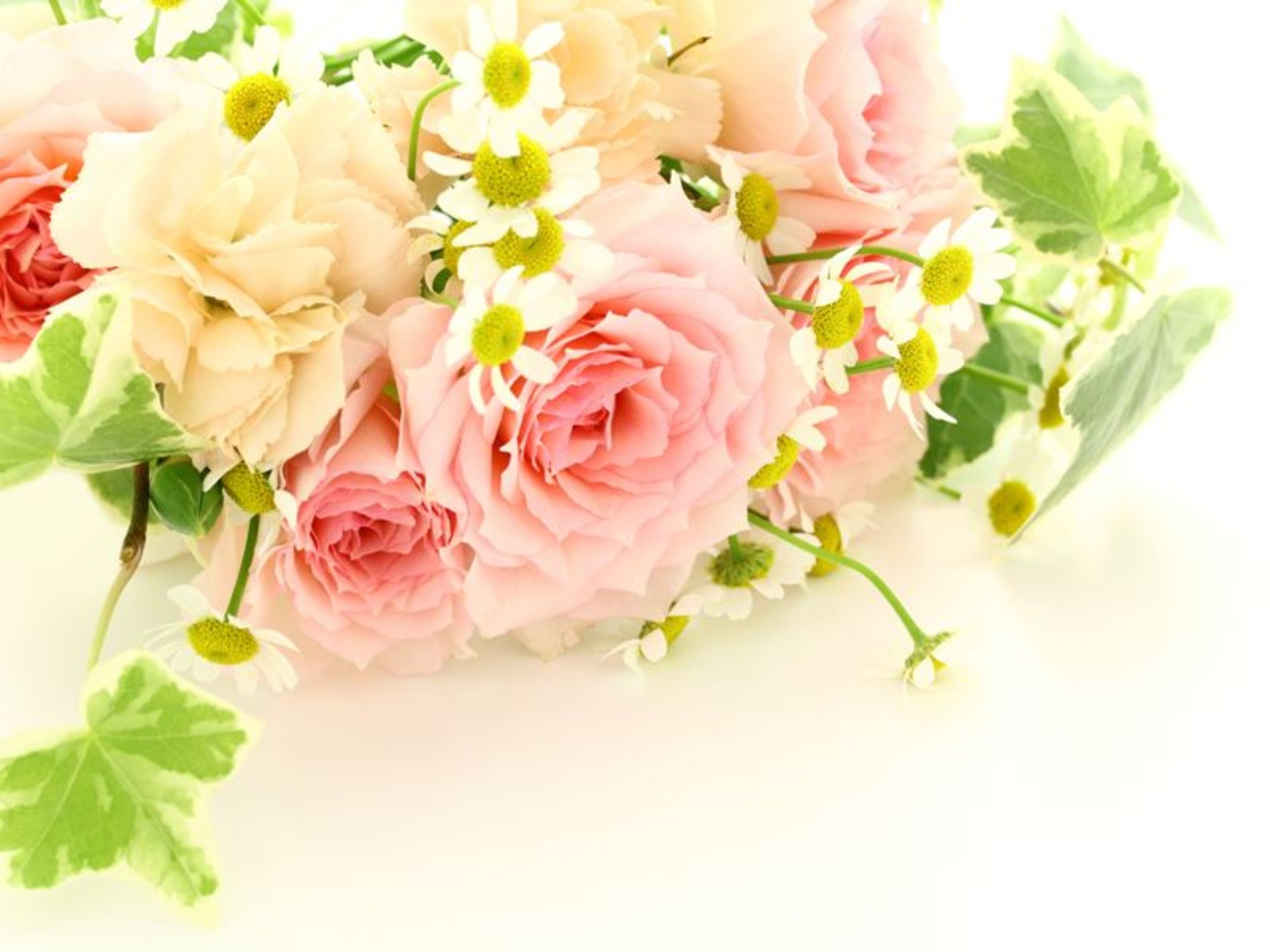 花姉妹 ラ・フルール ラ・スーフ